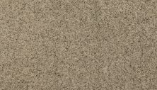 Mohawk Everstrand Soft Appeal Soft Details I Cultured Pearl 3G12-809