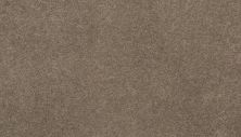 Mohawk Everstrand Soft Edition I Perfect Taupe 3G20-829