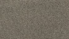 Karastan Smartstrand Enchanting Elements Grecian Column 3G74-9816