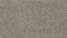 Karastan Smartstrand Enchanting Elements Pristine 3G74-9911
