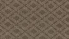 Mohawk Lavish Choice Longhorn 3G88-958