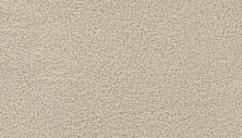 Mohawk Smartstrand Gentle Path Linen 3G98-708