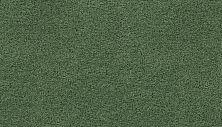 Mohawk Smartstrand Thoughtful Charm Kiwi Splash 3H01-626