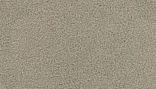 Mohawk Smartstrand Thoughtful Charm Spice Cake 3H01-718