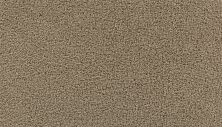 Mohawk Smartstrand Thoughtful Charm Peanut Shell 3H01-776