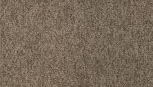 Mohawk Everstrand Cheerful Choice Kodiak 3H15-816