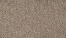 Mohawk Everstrand Cheerful Choice Basketweave 3H15-837