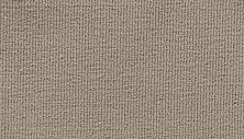 Mohawk Everstrand Attractive Charm Autumn Ash 3H27-749