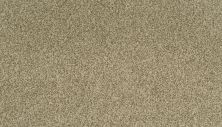 Karastan Kashmere Modern Portfolio Cuban Sand 3H35-9788