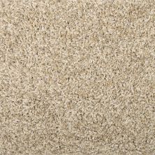 Mohawk Everstrand Sophisticated Tones Greige 3H37-755