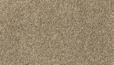 Mohawk Everstrand Sophisticated Tones Chestnut 3H37-781