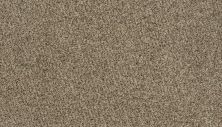 Karastan Smartstrand Radiant Elements Sonora 3H78-9767