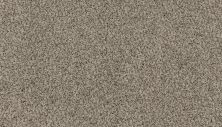 Karastan Smartstrand Radiant Elements Optimism 3H78-9809