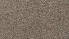 Karastan Smartstrand Radiant Elements Grecian Column 3H78-9816