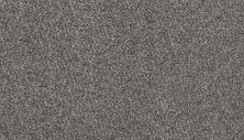 Karastan Smartstrand Radiant Elements Vienna 3H78-9943