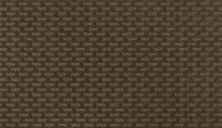 Mohawk Everstrand Well Rounded II Ancient Scroll 3I29-863