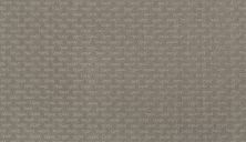 Mohawk Everstrand Well Rounded II Stardust 3I29-901