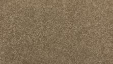 Mohawk Everstrand Modern Story II Pebble 3I53-788