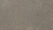 Karastan Smartstrand Silk Treasured Simplicity Bare Necessities 3I74-9775