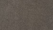 Karastan Smartstrand Silk Treasured Simplicity Portobello 3I74-9824