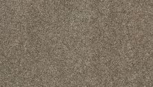 Mohawk Smartstrand Tonal Allure II Cottage Craft 3I83-788