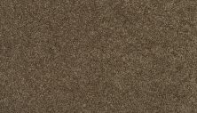 Mohawk Smartstrand Tonal Luxury II Cottage Craft 3I87-788