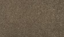 Mohawk Smartstrand Tonal Luxury II Heirloom 3I87-837