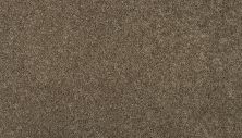 Mohawk Smartstrand Magnificent Style II Windsong 3I89-756