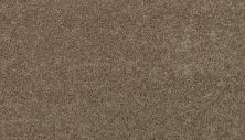 Mohawk Smartstrand Magnificent Style II Afternoon Tea 3I89-828