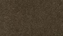 Mohawk Smartstrand Magnificent Style II Portobello 3I89-877