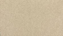 Mohawk Everstrand Refined Delight I Stone Lion 3J19-725
