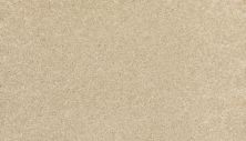 Mohawk Everstrand Refined Delight I Seashells 3J19-766