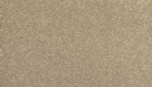 Mohawk Everstrand Refined Delight I Full Sail 3J19-776