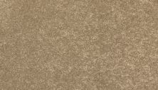 Mohawk Everstrand Refined Delight I Turnstone 3J19-849