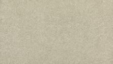 Mohawk Everstrand Refined Delight I Early Frost 3J19-919