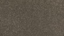 Mohawk Everstrand Refined Delight I Boulders 3J19-950