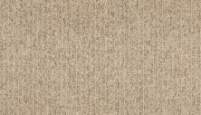 Mohawk Everstrand Incredible Appeal Jasper 3J24-816