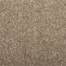 Mohawk Everstrand Baymont Tweed Dune 3J45-858