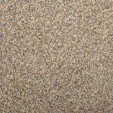 Mohawk Everstrand White Eagle Tweed Rolling Thunder 3J46-945