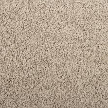 Mohawk Everstrand Raindance Solid Fog 3J47-829