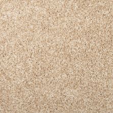 Mohawk Everstrand Broadcreek Tweed Warm Almond 3J48-725