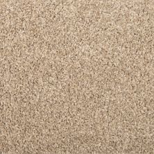 Mohawk Everstrand Broadcreek Tweed Blended Tan 3J48-824