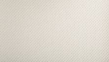Mohawk Smartstrand Braided Beauty White Dove 3J53-701