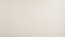 Mohawk Smartstrand Braided Beauty Nouveau 3J53-719