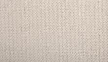 Mohawk Smartstrand Braided Beauty Haven 3J53-738