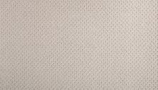 Mohawk Smartstrand Braided Beauty Bare Necessities 3J53-759