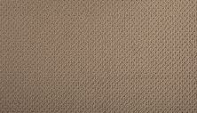 Mohawk Smartstrand Braided Beauty Cuban Sand 3J53-760