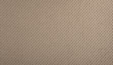 Mohawk Smartstrand Braided Beauty Renoir Bisque 3J53-765