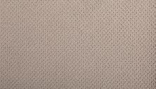 Mohawk Smartstrand Braided Beauty Mountain Ledge 3J53-770