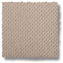 Mohawk Smartstrand Braided Beauty Sugar Dust 3J53-775